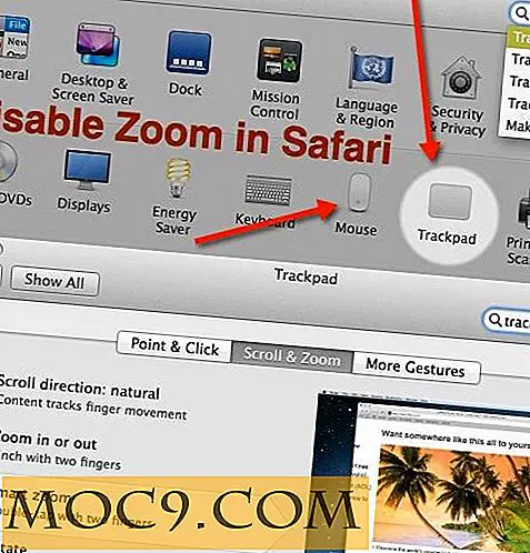 So deaktivieren Sie die Smart Zoom-Funktion in OS X Mavericks Safari
