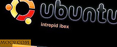 Преглед на Ubuntu Ibex Alpha 6