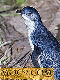 MTE forklarer: Oprindelsen af ​​Pingvin Tux