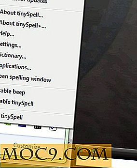 Hinzufügen von Rechtschreibprüfung zu Windows-Anwendungen mit TinySpell